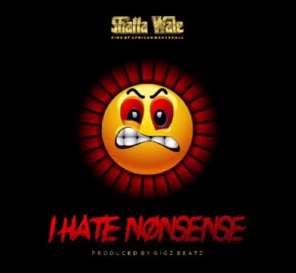 Shatta Wale - I Hate Nonsense